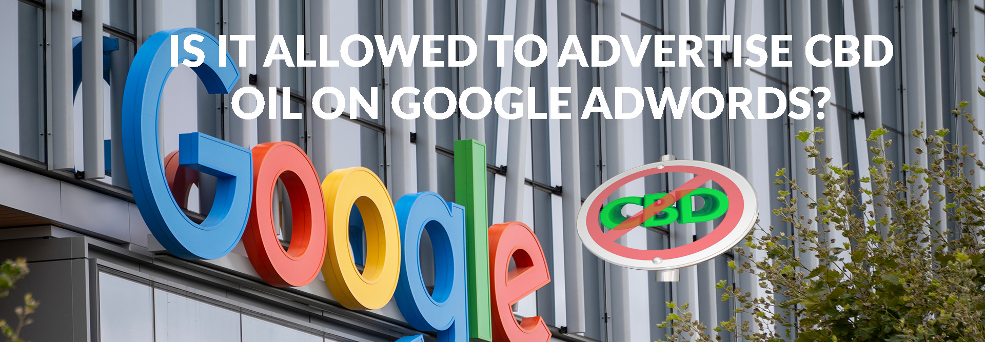 Ist es erlaubt, CBD-Öl über Google zu verkaufen?