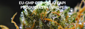 EU-GMP CBD Isolate API Producers in Europe