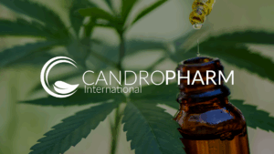 CBD for Pets