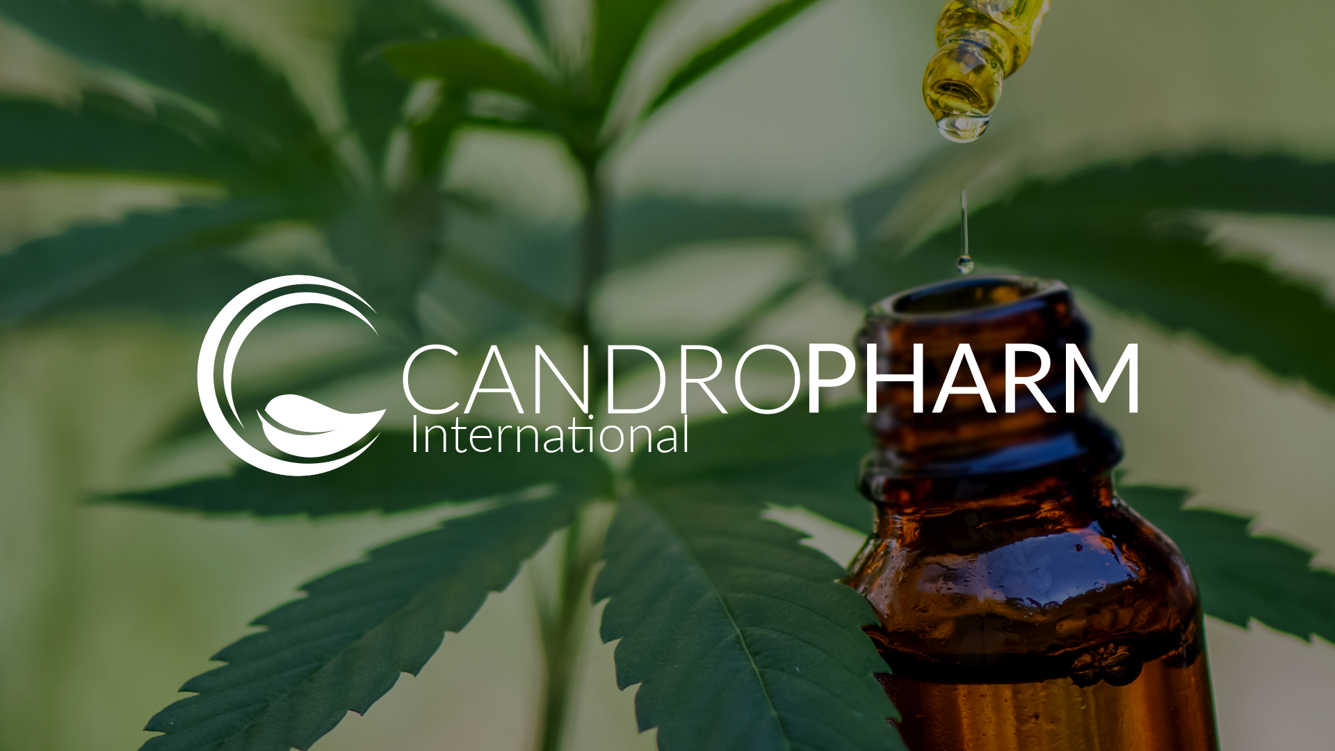 CBD for Pets