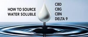 Proveedor de cannabinoides solubles en agua
