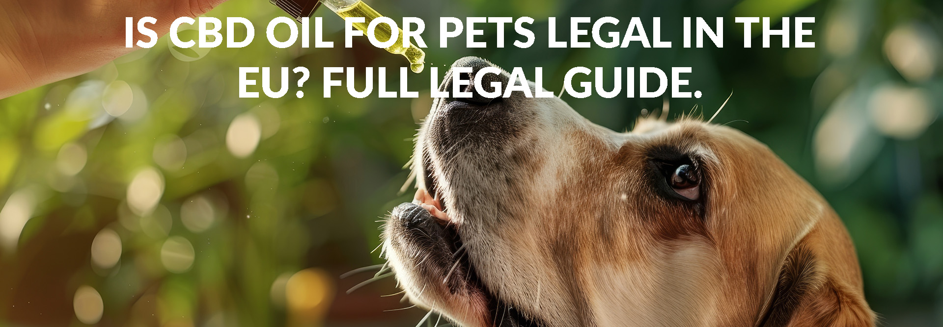 Is CBD Oil for Pets Legal in the EU?