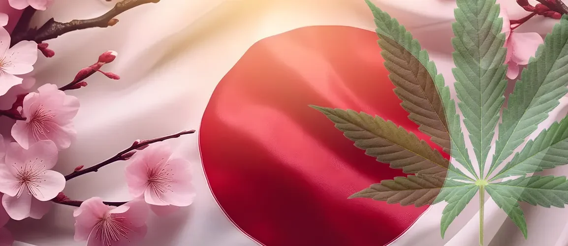 Japan approved CBD oil