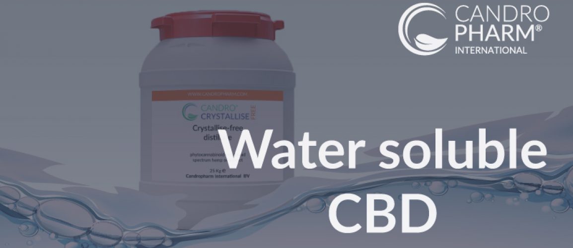 Watersoluble-CBD-Wholesale